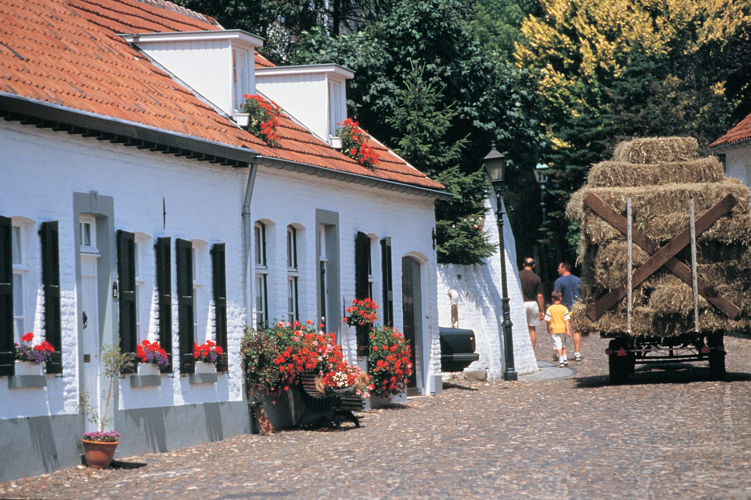 Hart van Limburg