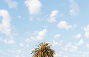 Elektrische campers in 2025: zo realistisch is elektrisch kamperen nu